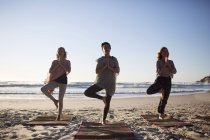 Безтурботний жінок практикуючих йога дерево пози на сонячному березі під час йоги відступу — стокове фото