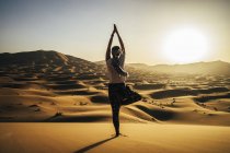Mulher serena em pé na árvore de ioga posar no deserto ensolarado arenoso, Saara, Marrocos — Fotografia de Stock