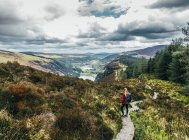 Senderismo femenino a lo largo del idílico sendero de montaña con vistas panorámicas del paisaje, Wicklow NP, Irlanda - foto de stock