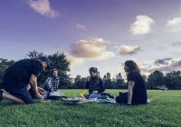 Amigos disfrutando de picnic en el parque - foto de stock