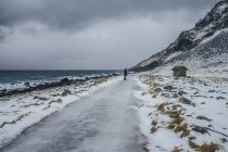 Mulher caminhando ao longo da praia gelada, Ilhas Lofoten, Noruega — Fotografia de Stock