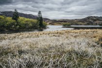 Спокойный пейзаж и вид на реку, Шотландия — стоковое фото