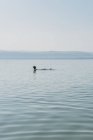 Man floating, swimming in Dead Sea, Jordan — Stock Photo