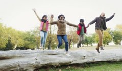 Familia feliz y juguetona cogida de la mano, saltando del tronco en el parque de otoño - foto de stock
