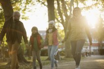 Щаслива сім'я тримає руки, гуляє в сонячному осінньому парку — стокове фото