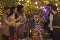 Freunde feiern, Champagner trinken bei Gartenparty — Stockfoto