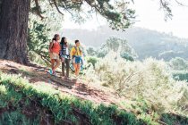 Madre e figlie escursioni nei boschi soleggiati — Foto stock