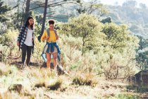 Jóvenes amigos de senderismo en bosques soleados - foto de stock