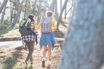 Vue arrière de Jeunes amis avec sacs à dos randonnée dans les bois ensoleillés — Photo de stock