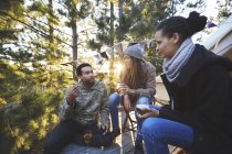 Друзі п'ють вино і розмовляють на сонячному кемпінгу в лісі — стокове фото