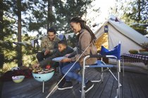 Family cooking vegetables at campsite grill — Stock Photo