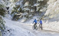 Vista trasera de Pareja ciclismo de montaña en bosques nevados - foto de stock