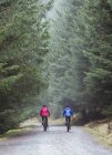 Back view do casal mountain bike na floresta — Fotografia de Stock
