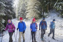 Caminhadas familiares em bosques nevados — Fotografia de Stock