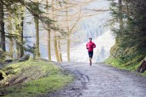 Man jogging on trail in woods — Stock Photo