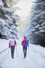 Vista traseira das mulheres caminhadas em bosques nevados — Fotografia de Stock