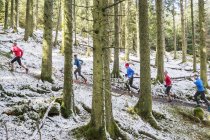 Друзі бігають у засніженому лісі — стокове фото