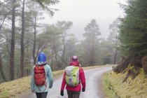 Vista posteriore delle donne escursionismo nei boschi — Foto stock