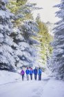 Family hiking in snowy woods — Stock Photo