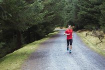 Uomo che fa jogging nel bosco — Foto stock