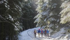 Familienwanderung im verschneiten Wald — Stockfoto