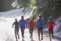 Family jogging in winter woods — Stock Photo