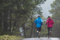 Back view of Couple jogging in woods — Stock Photo