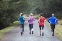 Vue arrière du jogging en famille dans les bois — Photo de stock