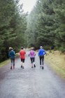 Vue arrière du jogging en famille dans les bois — Photo de stock