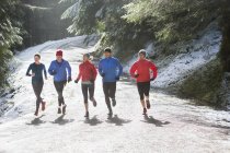 Correr en familia en bosques nevados - foto de stock
