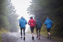 Vue arrière du jogging en famille dans les bois pluvieux — Photo de stock