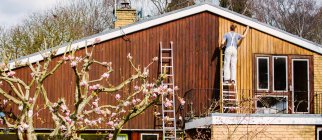 Pittore maschio su scala pittura casa esterno assetto — Foto stock