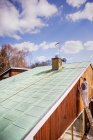 Pintor masculino en escalera pintura casa exterior ajuste - foto de stock