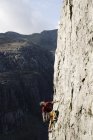Scalatore di roccia maschio scalatura grande parete di roccia, guardando in alto — Foto stock