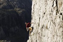 Hombre escalador escalando gran cara de roca, mirando por encima del hombro - foto de stock