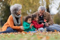 Grands-parents et petits-enfants mangeant de la pastèque dans le parc d'automne — Photo de stock