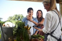 Affectionate lesbian couple shopping at farmers market — Stock Photo