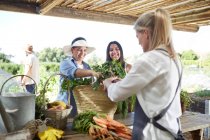 Donne che fanno shopping, comprano verdure al mercato agricolo — Foto stock
