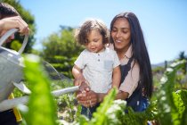 Mutter und Kleinkind gärtnern im sonnigen Gemüsegarten — Stockfoto