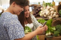 Pareja lesbiana con compras de teléfonos inteligentes en el mercado de agricultores - foto de stock