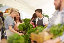 Women working, arranging vegetables at farmers market — Stock Photo
