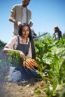Jovem mulher colhendo cenouras em horta ensolarada — Fotografia de Stock