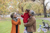 Abuelos con nieta en el parque de otoño - foto de stock