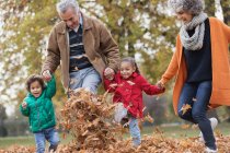 Playful grandparents and grandchildren kicking autumn leaves in park — Stock Photo