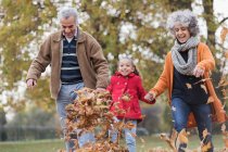 Grand-parents ludiques et petite-fille donnant des coups de pied feuilles d'automne dans le parc — Photo de stock