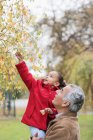 Grandfather lifting granddaughter reaching for autumn leaves on tree — Stock Photo