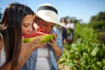 Jovens mulheres comendo fazenda melancia fresca — Fotografia de Stock