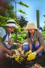 Junge Gärtnerinnen pflanzen in sonnigem Gemüsegarten — Stockfoto