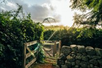 Sonnenschein über beschaulicher Idylle mit Garten und Hühnerstall — Stockfoto