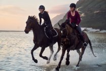 Carefree young woman racing on horseback in ocean surf — Stock Photo